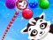 游戏Raccoon Rescue在线