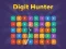 游戏Digit Hunter在线