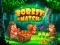 游戏Forest Match在线