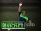 游戏Cricket Fielder Challenge在线