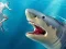 游戏Shark Hunting在线