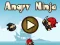 游戏Angry Ninja在线