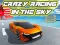 游戏Crazy racing in the sky在线