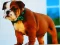 游戏Bulldog Puppy Puzzle在线