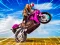 游戏Crazy Wheelie Motorider在线