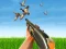 游戏Bird Hunting在线