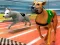 游戏Dogs 3D Races在线