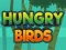 游戏Hungry Birds在线