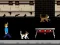 游戏Streamer Fashion Run在线