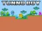 游戏Tunno Boy在线