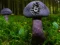 游戏Mushroom Forest Adventure在线