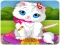 游戏Vet Cat Clinic在线