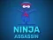 游戏Ninja Assassin在线