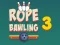 游戏Rope Bawling 3在线