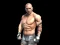游戏Fight Arena Online在线