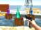 游戏Bottle Shooter games在线