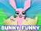 游戏Bunny Funny在线