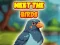 游戏Meet The Birds在线
