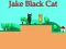 游戏Jake Black Cat在线