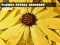 游戏Flower Petals Raindrop Jigsaw在线