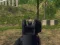 游戏Army Shooter在线