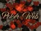 游戏Poker Web在线