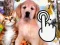 游戏Pets Clicker在线