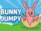 游戏Bunny Jumpy在线