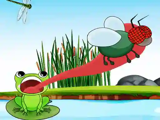 游戏Hungry Frog在线