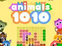 游戏1010 Animals在线