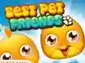 游戏Best Pet Friends在线