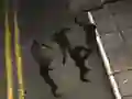 游戏Zombie Reborn在线