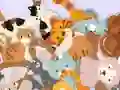 游戏Find The Kitty在线