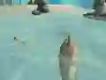 游戏Shark Simulator Beach Killer在线
