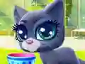 游戏Happy Cat在线
