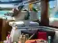 游戏Caribbean Crime在线