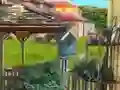 游戏Backyard Makeover在线