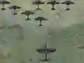 游戏Wings Of Glory在线