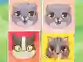 游戏Kitten Match在线