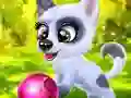 游戏Happy Dog在线