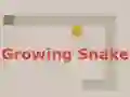 游戏Growing Snake在线