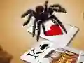 游戏Jumping Spider在线