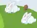 游戏Crazy Eggs在线