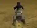 游戏Real Moto Stunts Challenge在线