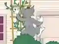 游戏Tom und Jerry: Wasserbomben Wahnsinn在线