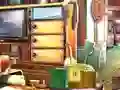 游戏Essential Cleaning在线