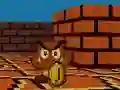 游戏Mario FPS在线