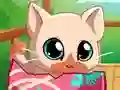 游戏My Pocket Pets Kitty Cat在线