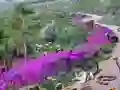 游戏Vanishing Trail在线