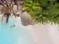游戏Seychelles Beach Jigsaw Puzzle在线